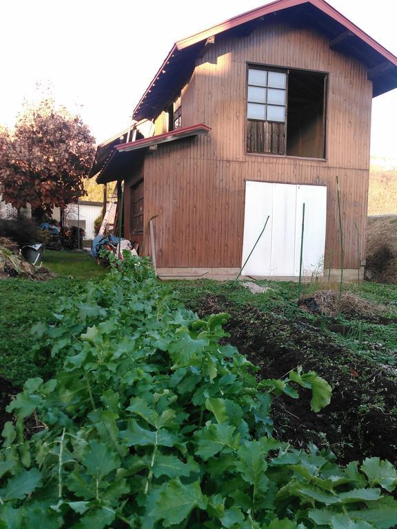 Madarao Farm Villa Nakano  Екстериор снимка