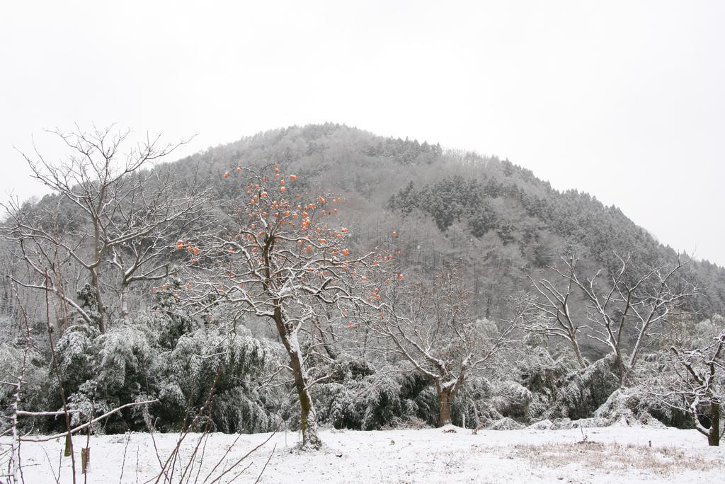 Madarao Farm Villa Nakano  Екстериор снимка