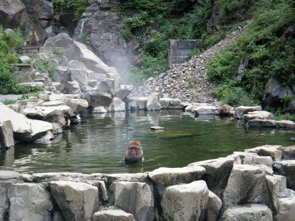 Madarao Farm Villa Nakano  Екстериор снимка